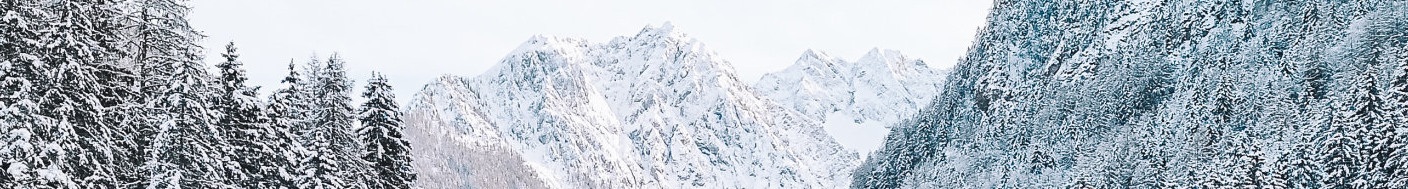 Header Background